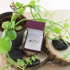 Love It! 9ct White Gold Diamond Kiss Ring - 10pts - D62355 7 Love It! 9ct White Gold Diamond Kiss Ring - 10pts - D62355 -Fhinds Shop D62355 L 4