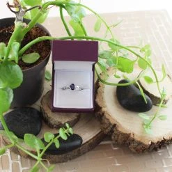 9ct White Gold Sapphire And Diamond Ring - 6pts - D63163 -Fhinds Shop D63163 L 4