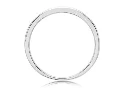 9ct White Gold Princess Cut Diamond Half Eternity Ring - 1/4ct - D71108 -Fhinds Shop D71108 L 3