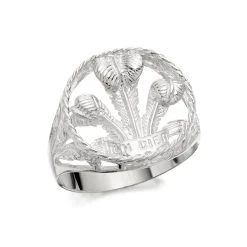 Silver Prince Of Wales Feathers Ring - F4953