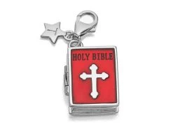 Tingle SCH270 Silver Enamel Bible Charm - F8316