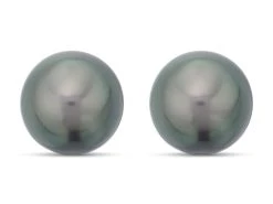 9ct White Gold Tahitian Pearl Stud Earrings - 10mm - G0680