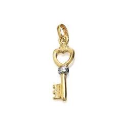9ct Gold Two Colour Key Charm - G3311
