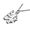 Silver Chelsea FC Lion Necklace - J2407