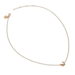 Radley RY2356 18ct Rose Gold Plated Silver Diamond Moon Necklace - J81117 -Fhinds Shop J81117 L 3
