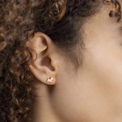 Radley RYJ1306 18ct Rose Plated Silver Triple Earring Set - J81133 -Fhinds Shop J81133 L 5