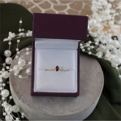 9ct Gold Garnet And Diamond Birthstone Ring - January - R0201 -Fhinds Shop R0201 L 4
