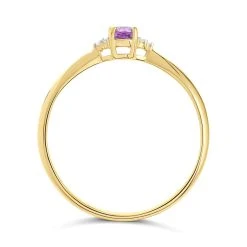 9ct Gold Amethyst And Diamond Birthstone Ring - February - R0202 -Fhinds Shop R0202 L 3