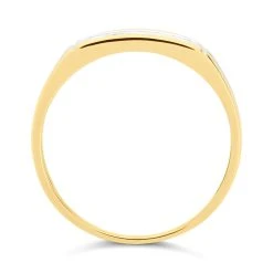 9ct Gold Two Colour Diamond Ring - 5pts - R3931 -Fhinds Shop R3931 L 3