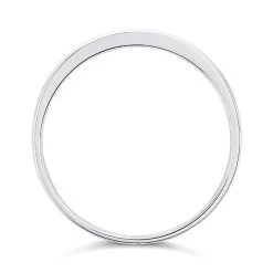 9ct White Gold Diamond Ring - R3932 -Fhinds Shop R3932 L 3