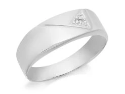 9ct White Gold Diamond Signet Ring - R3977