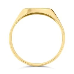 9ct Gold Diamond Signet Ring - Size U Only - Z5104 -Fhinds Shop Z5104 L 3